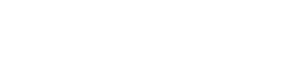 Nova Impact